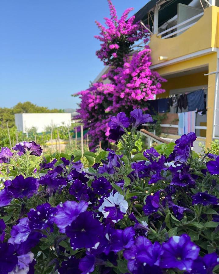 Apartment Vujcic Donji Okrug  Εξωτερικό φωτογραφία