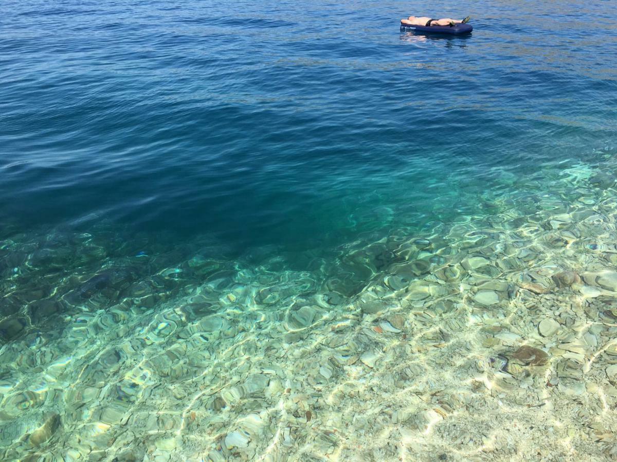 Apartment Vujcic Donji Okrug  Εξωτερικό φωτογραφία